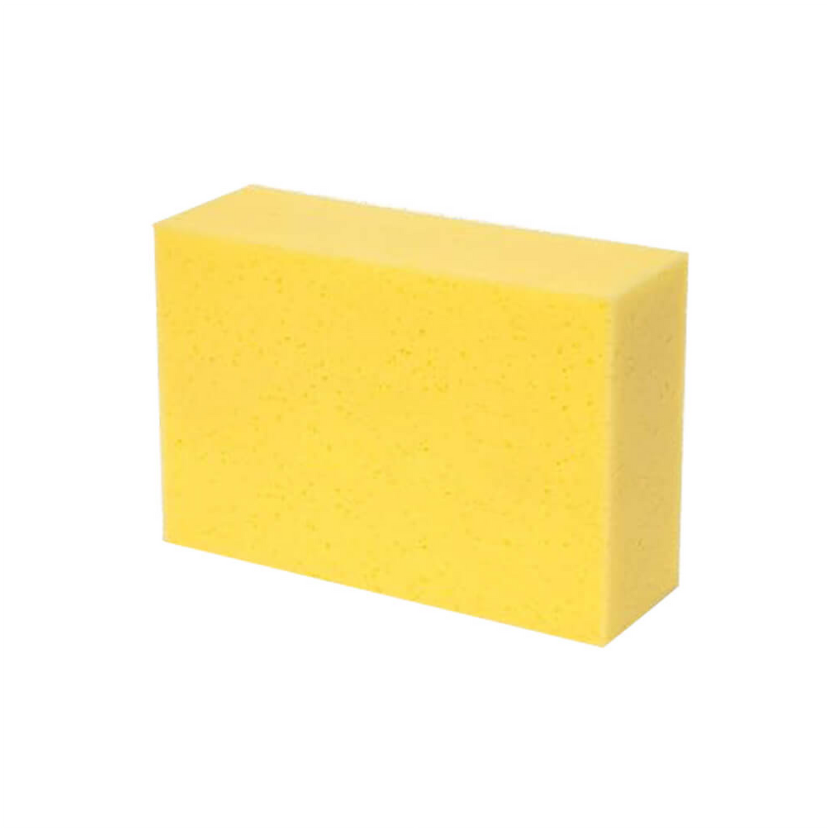 Clean Lab Éponge / Bloc de nettoyage